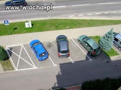 Mistrz Parkingu