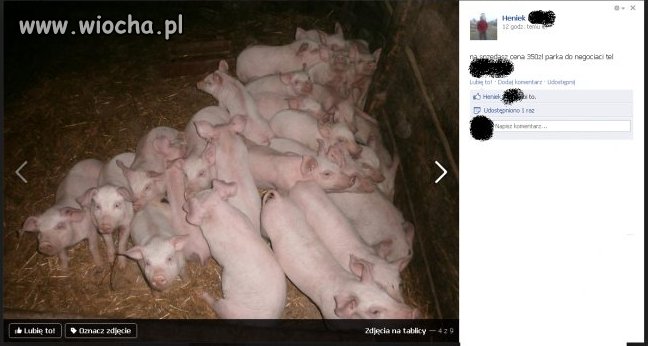 Jarmark na fejsie!