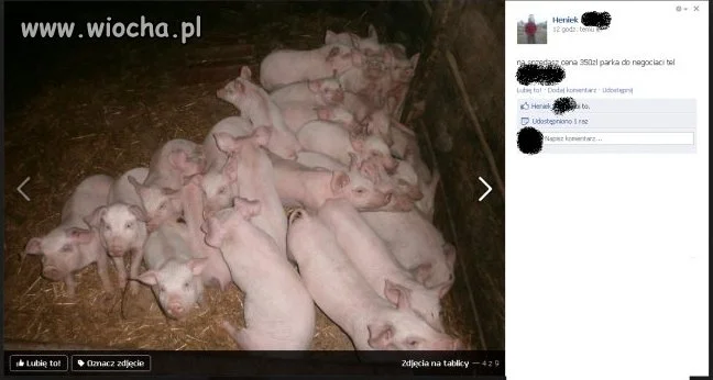 Jarmark na fejsie!