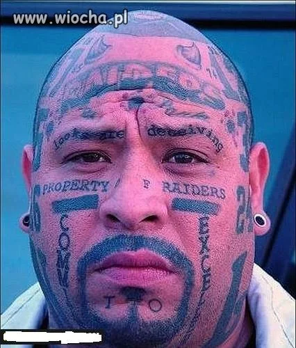 Mamo, Tato...