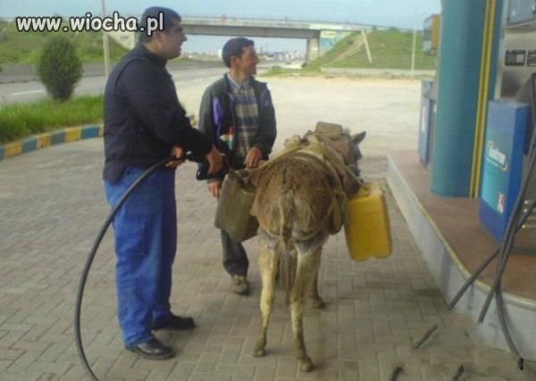 Ciekawe ile ma koni mechanicznych