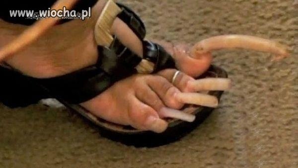 Jakie pazurki...mrr...