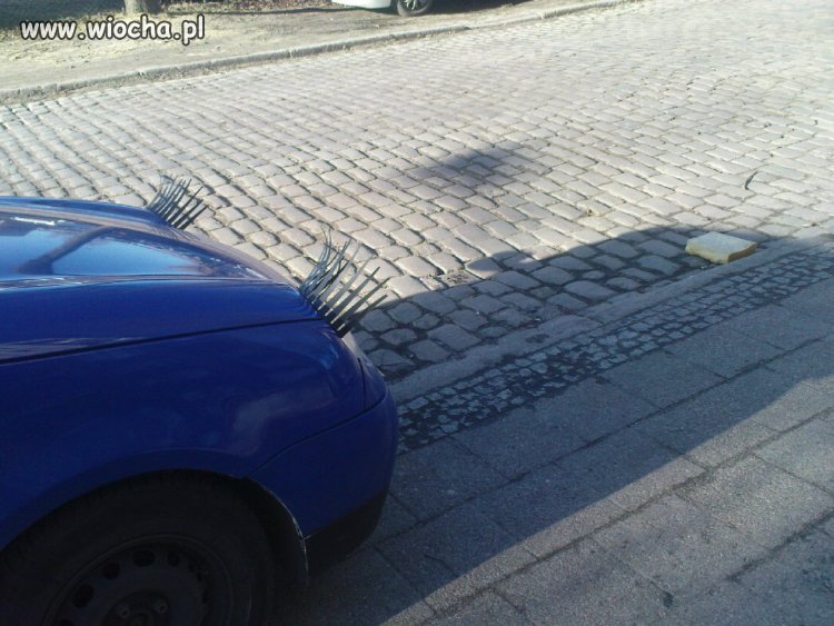 Lupo - max tuning