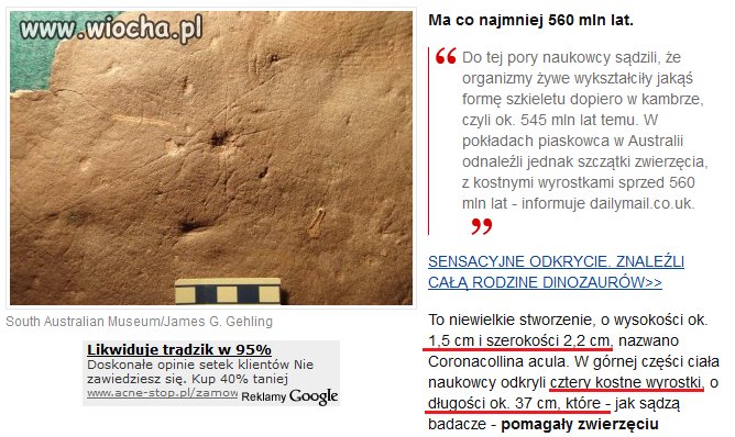 Jak organizm o wysokości 1,5 cm i szerokości 2,2cm