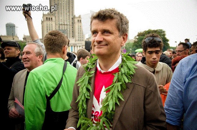 Plan polityczny:
