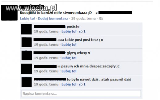 Rozmowa gimnazjalistek...