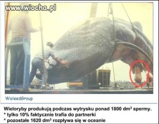 Teraz wiadomo dlaczego woda jest słona...