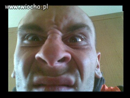 Morda