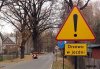 Drzewo w jezdni...