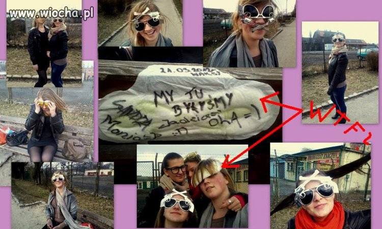 Opis pod zdjęciem: Waksy 2012 z laskami... 
