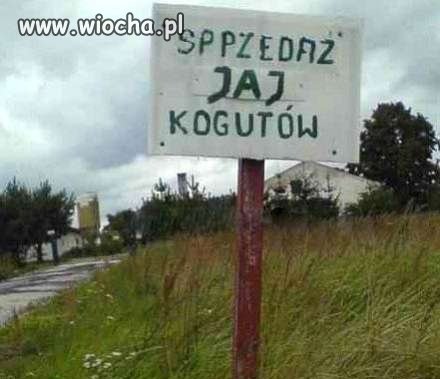 Hm... zastanawiam się jak wyglądają jaja kogutów