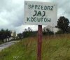Hm... zastanawiam się jak wyglądają jaja kogutów
