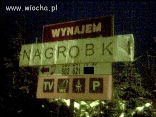 Trumny też wynajmują
