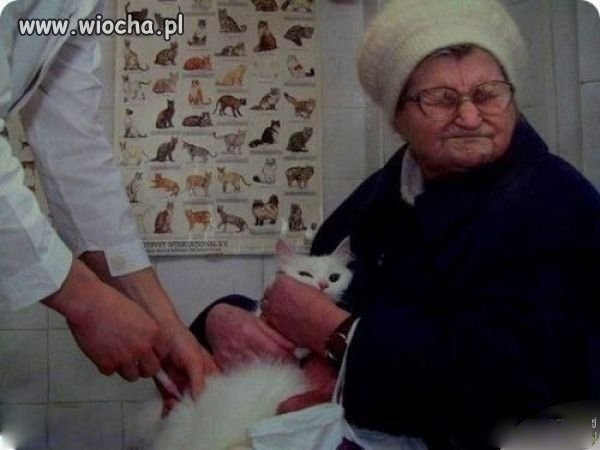 Wrażliwość