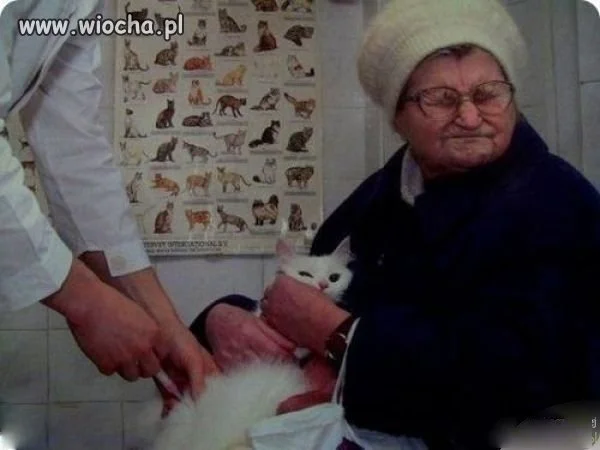 Wrażliwość
