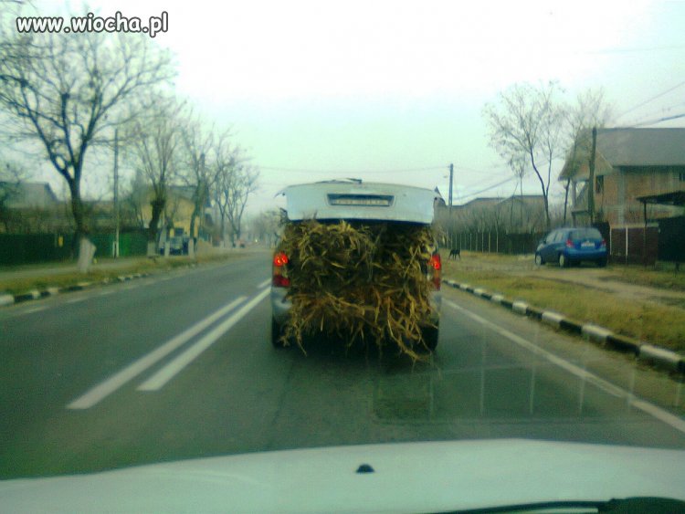 Cokolwiek ten ktoś przewozi ...