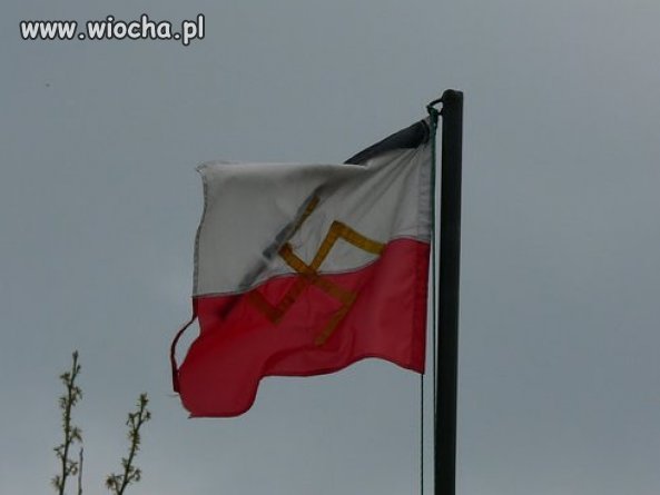 Brak szacunku dla polskich flag