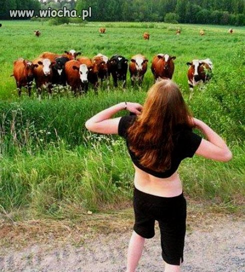 Czy znajdzie się jakichś ...