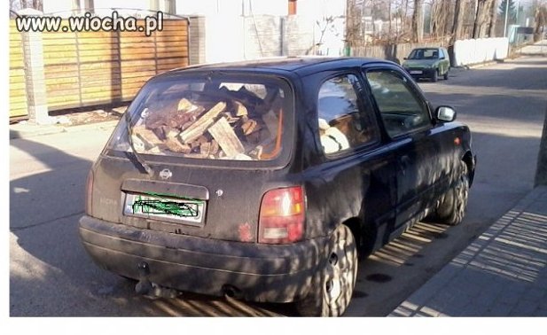 Czyżby czekał na powrót zimy??