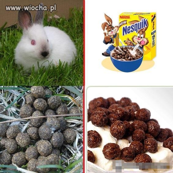 Nesquik...