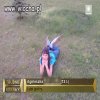 Nie ma to jak trudne sprawy...