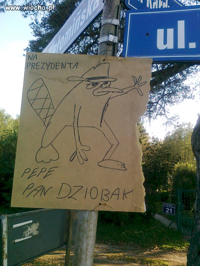Pepe Pan Dziobak na prezydenta hehe