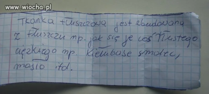 Sprawdzian kolegi