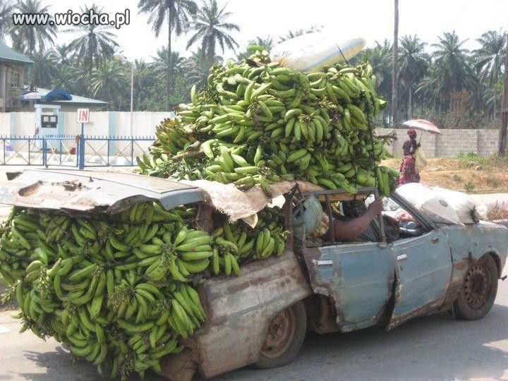 Bananowooo Transportowooo 