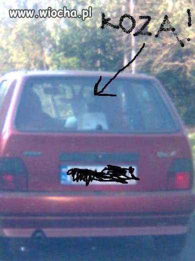 Pupilek w samochodzie...