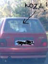 Pupilek w samochodzie...