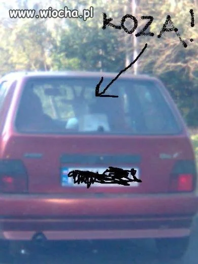 Pupilek w samochodzie...