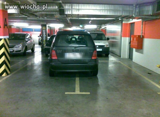 Tylko pogratulować...
