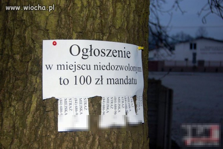 Straż Miejska w Biłgoraju
