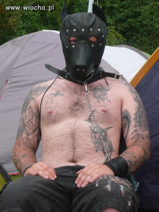 Czy to aby nie ponos?