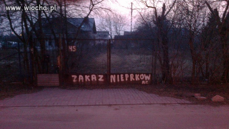 ANALFABETYZM WARSZAWA BORSUCZA