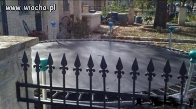 Moi rodzice
