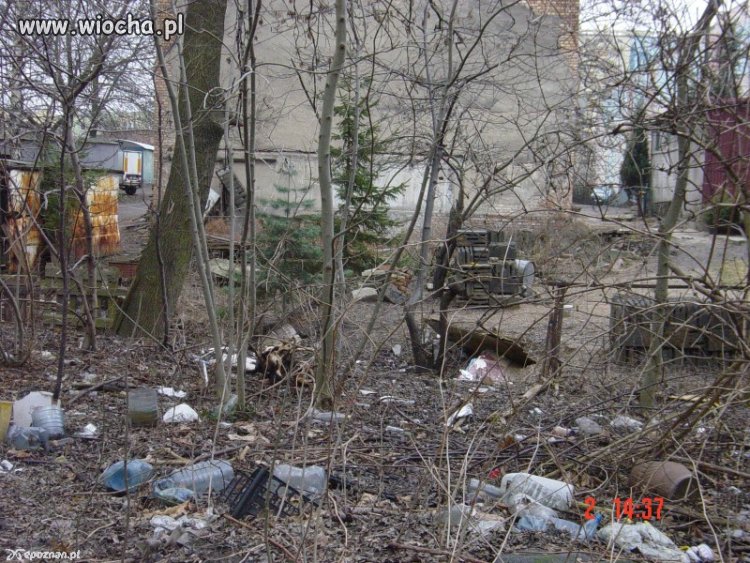 Ekolodzy będą mieli co sprzątać