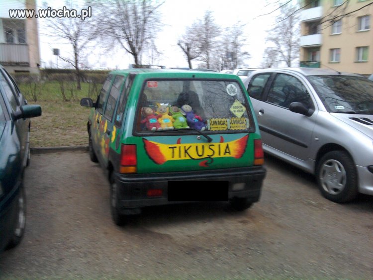 Tikusia
