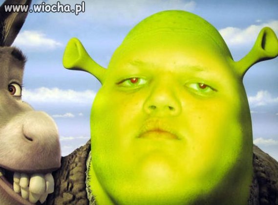 Kula - Shrek?