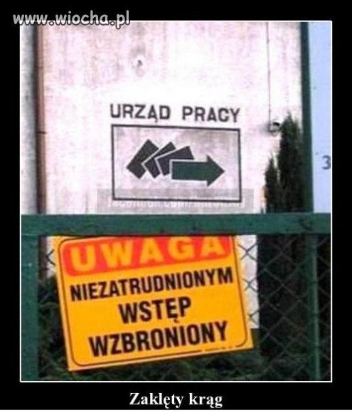 Zakazy tuska...