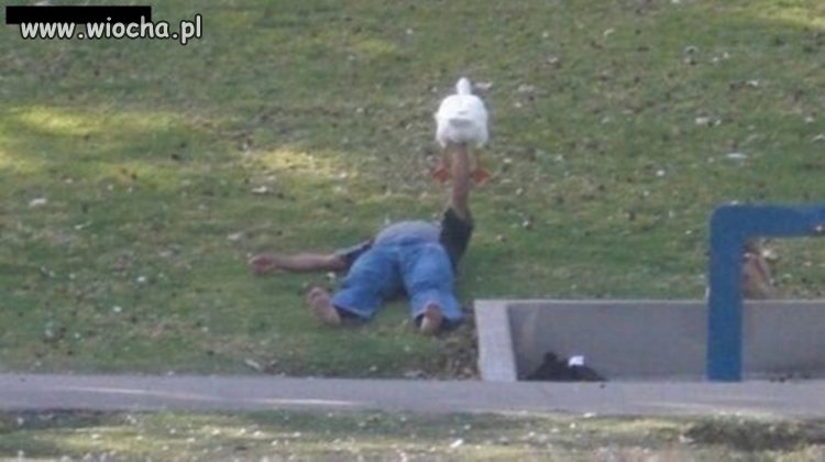 Nie wiem co napisać...