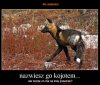 Słownik nie gryzie, watro tam zaglądać ...