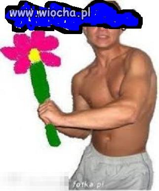 Obrazek fana peji 