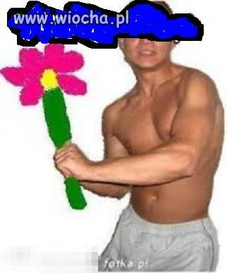Obrazek fana peji 