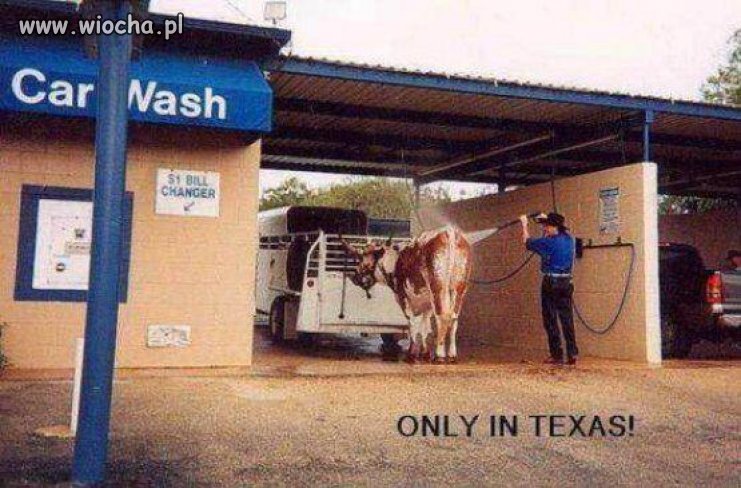 Takie rzeczy tylko w Texasie