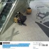 Gościu podpiął kompa w galerii krakowskiej i grał.