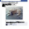 Jak to fajnie być zoofilem