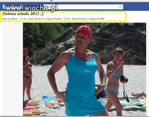 NAUCZYCIEL WF