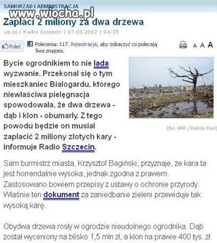 2 miliony kary za drzewa, które rosły w jego ogrodzie