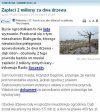 2 miliony kary za drzewa, które rosły w jego ogrodzie